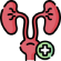 Urology